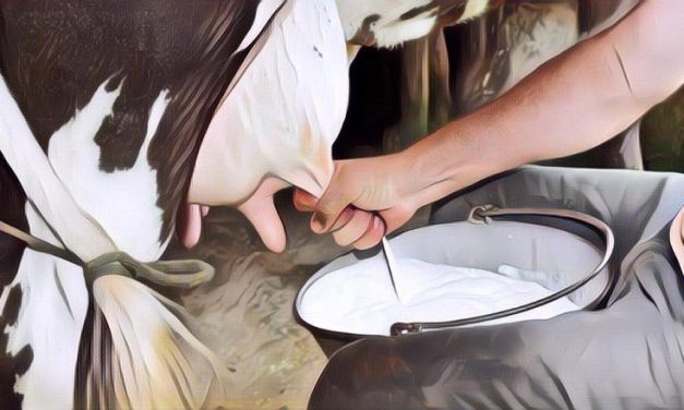 Manfaat Susu Sapi Bagi Kesehatan Tubuh