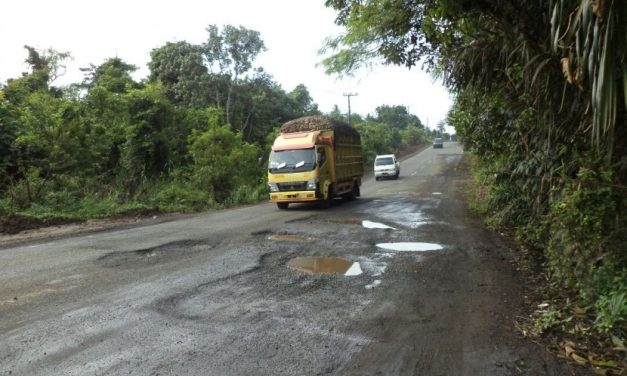Tantangan Dan Solusi Pemeliharaan Jalan Lintas Sumatera