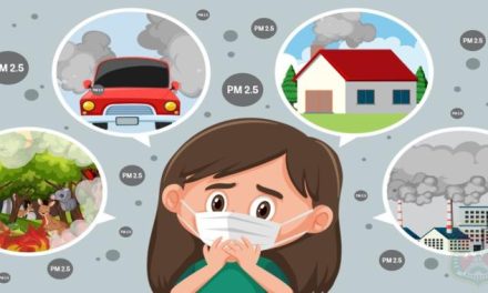 Dampak Polusi Udara Terhadap Kesehatan Dan Kualitas Hidup