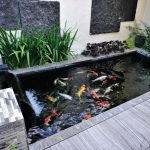 Desain Kolam Ikan Minimalis Untuk Halaman Rumah