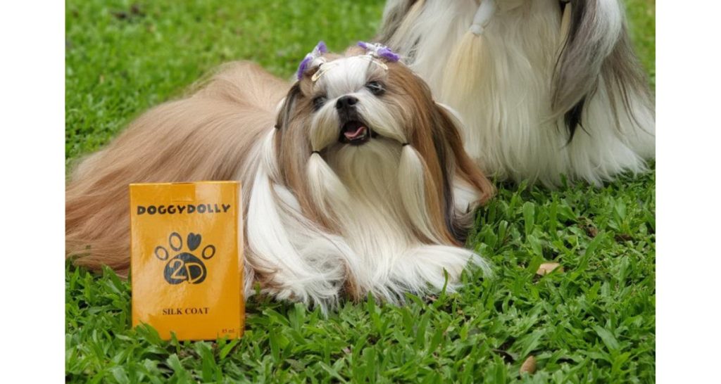 Manfaat Rutin Grooming Anjing Bagi Kesehatan Kulit Dan Bulu