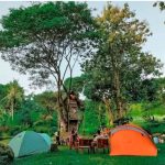 Rumah Pohon: Tempat Bermain Seru Di Alam Terbuka