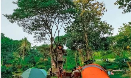 Rumah Pohon: Tempat Bermain Seru Di Alam Terbuka
