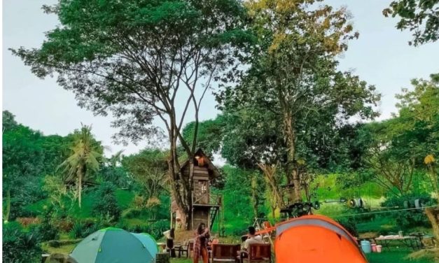 Rumah Pohon: Tempat Bermain Seru Di Alam Terbuka