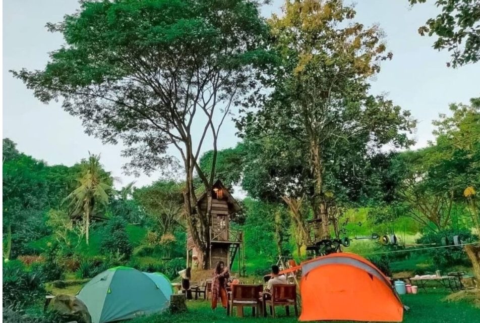 Rumah Pohon: Tempat Bermain Seru Di Alam Terbuka