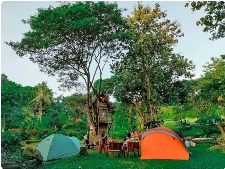 Rumah Pohon: Tempat Bermain Seru Di Alam Terbuka