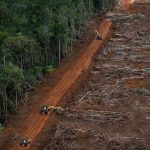 Upaya Menjaga Hutan Dunia Dari Kerusakan, Konservasi Hutan