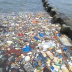 Ancaman Sampah Plastik Terhadap Kehidupan Laut Di Indonesia