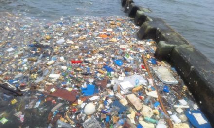 Ancaman Sampah Plastik Terhadap Kehidupan Laut Di Indonesia
