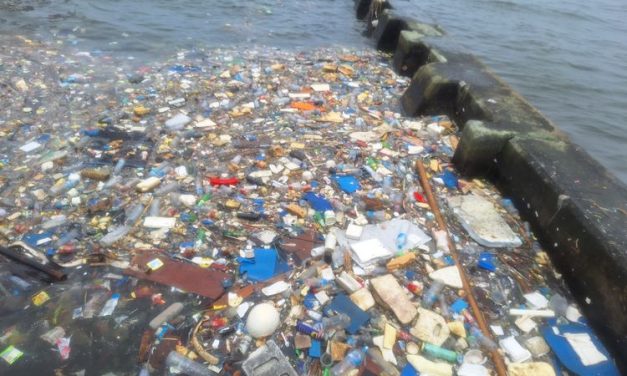 Ancaman Sampah Plastik Terhadap Kehidupan Laut Di Indonesia