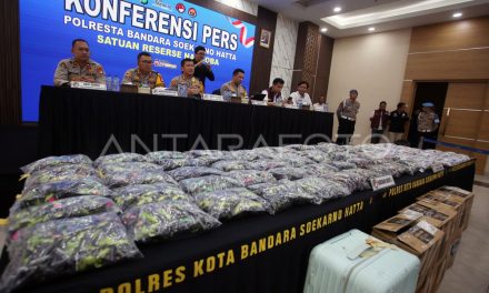 Tantangan Aparat Dalam Memberantas Peredaran Vape Narkoba