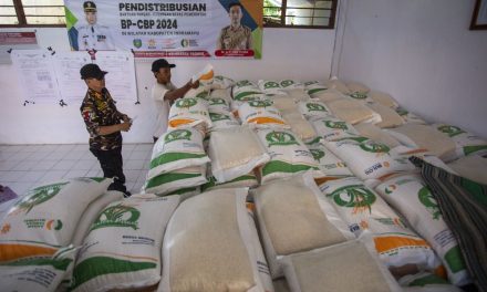 Dampak Kenaikan Harga Pangan Terhadap Daya Beli Masyarakat