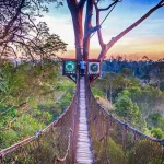 Wisata Alam Kalimantan Yang Wajib Dikunjungi Tahun Ini