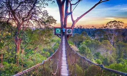 Wisata Alam Kalimantan Yang Wajib Dikunjungi Tahun Ini