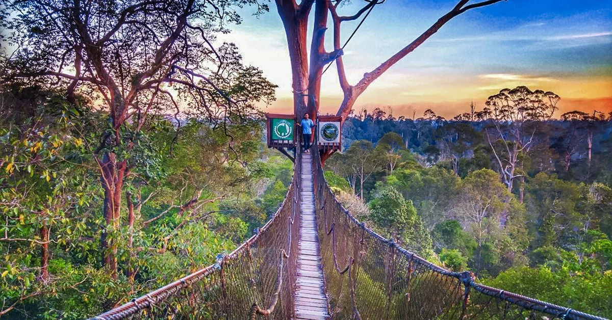 Wisata Alam Kalimantan Yang Wajib Dikunjungi Tahun Ini