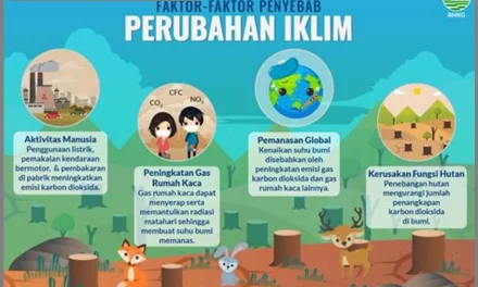 Pemanasan Global: Penyebab, Dan Solusi Yang Bisa Dilakukan