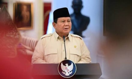 Profil Prabowo: Perjalanan Karier, Kebijakan, Visi Kepemimpinan