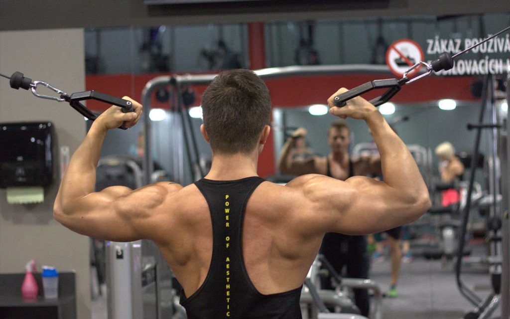 Program Gym Terbaik Mendapatkan Otot Sempurna Secara Alami