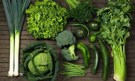 Sayuran Hijau Kaya Vitamin Untuk Menjaga Kesehatan Tubuh