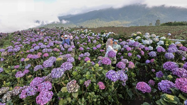 Kota Batu: Pesona Wisata Pegunungan Dan Udara Sejuk di Jatim