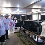 Masa Depan Peternakan Indonesia Saat Perubahan Teknologi