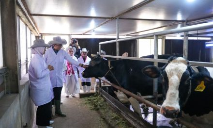 Masa Depan Peternakan Indonesia Saat Perubahan Teknologi