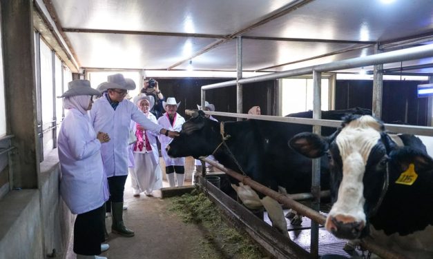 Masa Depan Peternakan Indonesia Saat Perubahan Teknologi