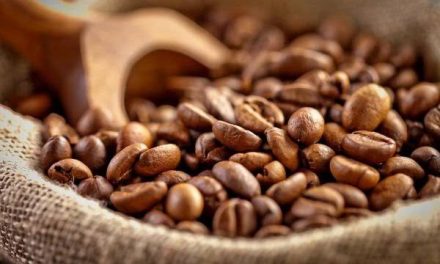 Kopi Nusantara: Karakter Rasa Dari Berbagai Wilayah Indonesia