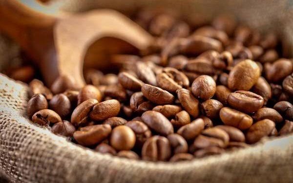 Kopi Nusantara: Karakter Rasa Dari Berbagai Wilayah Indonesia