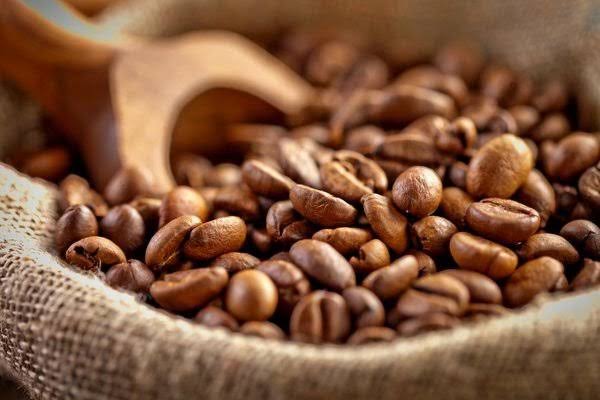 Kopi Nusantara: Karakter Rasa Dari Berbagai Wilayah Indonesia