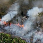 Kebakaran: Dampak, Kualitas Udara, Dan Kehidupan Masyarakat