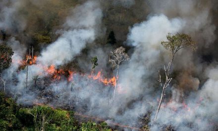 Kebakaran: Dampak, Kualitas Udara, Dan Kehidupan Masyarakat