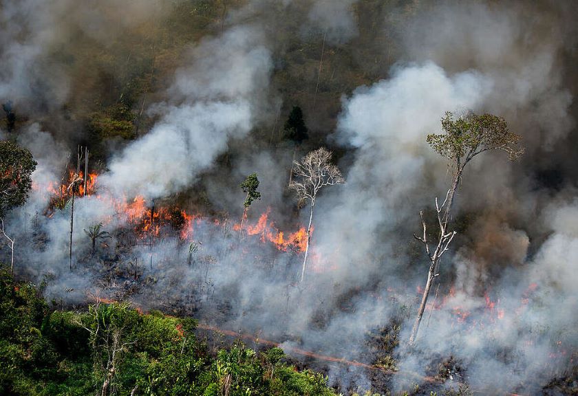 Kebakaran: Dampak, Kualitas Udara, Dan Kehidupan Masyarakat