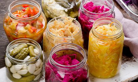 Makanan Fermentasi: Mengenal Jenis dan Potensi Bagi Kesehatan
