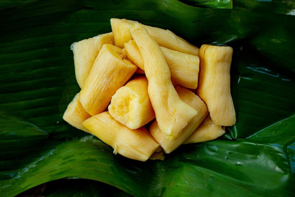 Proses Pengolahan Fermentasi Dan Ragam Kuliner Tradisional