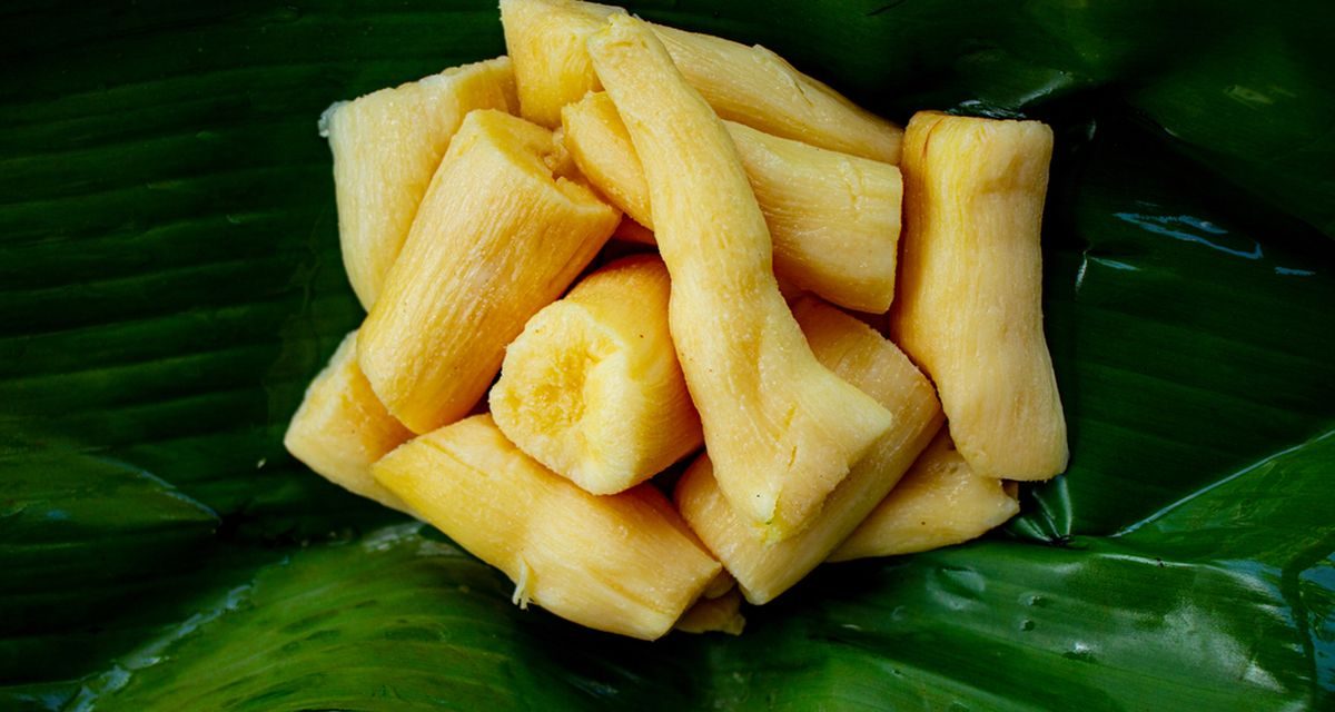 Proses Pengolahan Fermentasi Dan Ragam Kuliner Tradisional