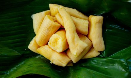 Proses Pengolahan Fermentasi Dan Ragam Kuliner Tradisional