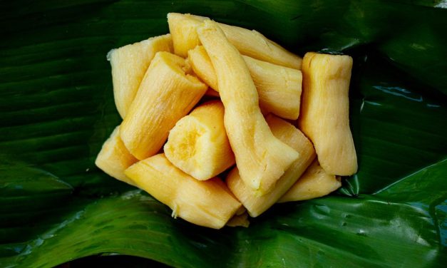 Proses Pengolahan Fermentasi Dan Ragam Kuliner Tradisional
