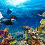 Restorasi Terumbu Karang: Upaya Memulihkan Ekosistem Laut